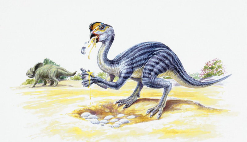 Oviraptor