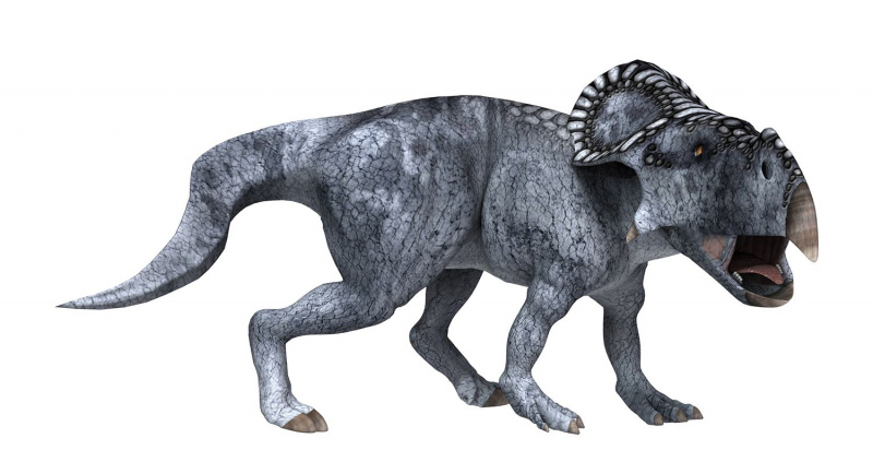 Protoceratops