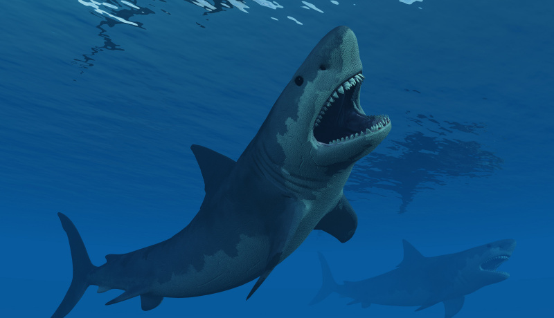 Gigantyczny rekin Megalodon w erze kenozoicznej.