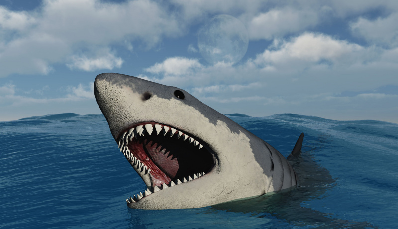 Gigantyczny rekin Megalodon.