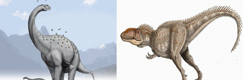 argentinosaurio giganotosaurio