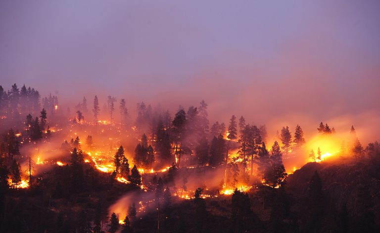 feu de forêt dans le Montana