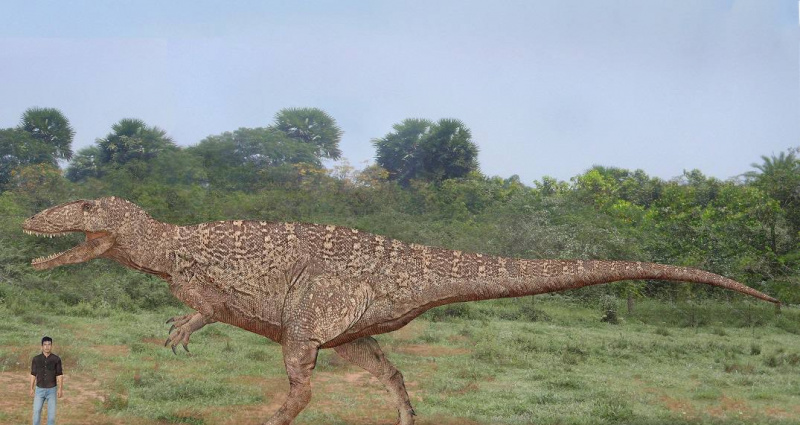 Carcharodontosaure