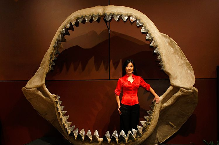 Enya Kim står i kjevene til en forhistorisk hai Carcharodon megalodon