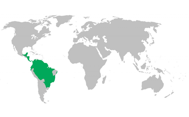 Carte de répartition du singe hurleur