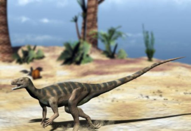 eodromaeus