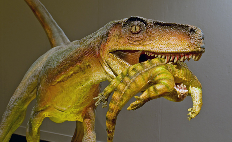 herrerasaurus