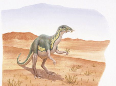 lesotosaurio