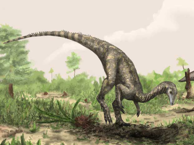 nyasaurus