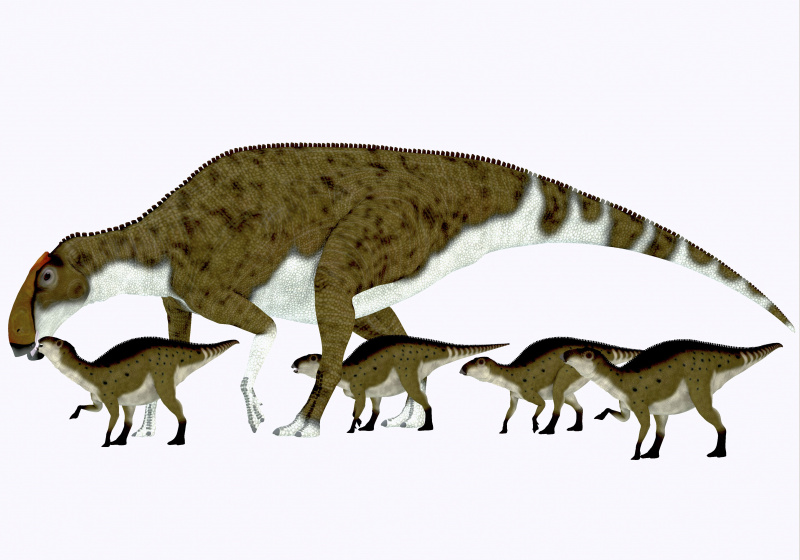 Brachylophosaurus con descendencia.