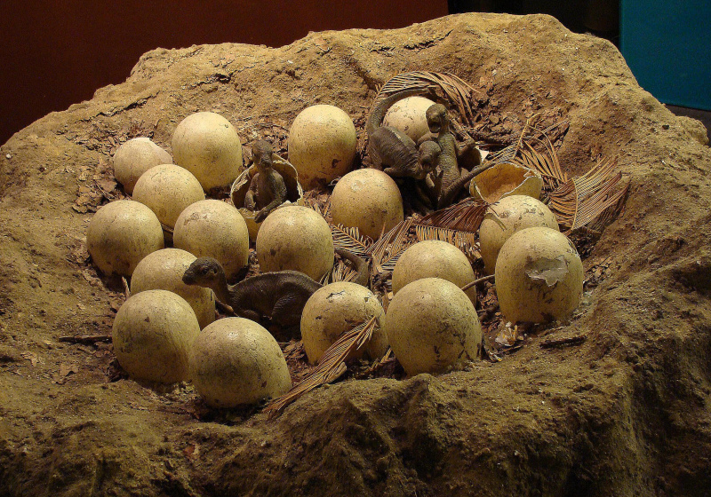 mayasaura
