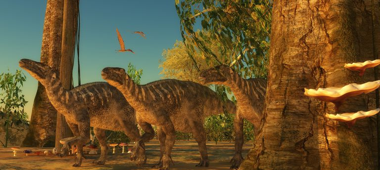Farbenreiche Zeichnung von Iguanodons in einem Urwald.