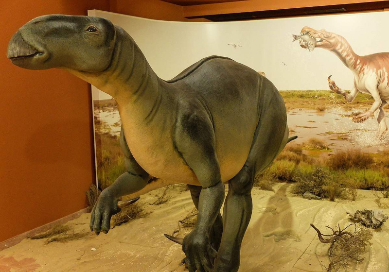 Vollfarbige Zeichnung von Iguanodon, der auf seinen Hinterbeinen steht.
