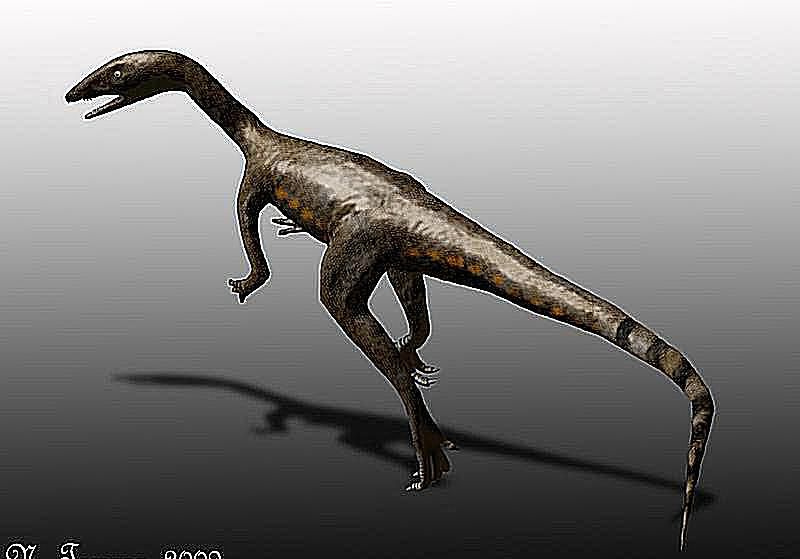 An illustration of the meat-eating <i>Tawa hallae</i> dinozaur z okresu późnego triasu”>Myśl Co / Nobu Tamura</p>