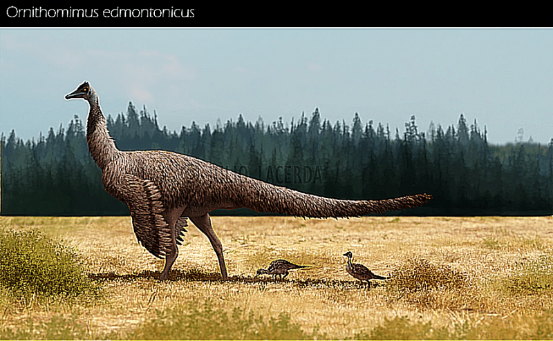 An  <i>Ornitomim</i> (naśladuje ptaka) z piórami, skrzydłami i długimi ogonami żeruje na polu z jego malutkim potomstwem