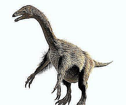 nothronyque