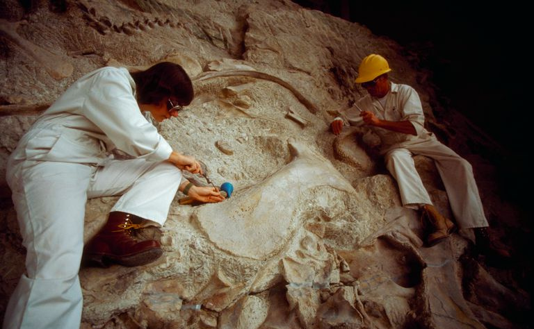 Dinosaur nasjonalmonument
