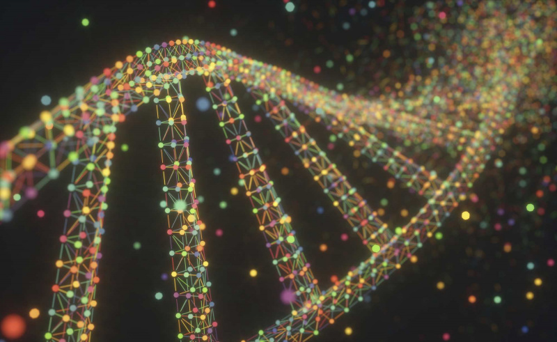 DNA
