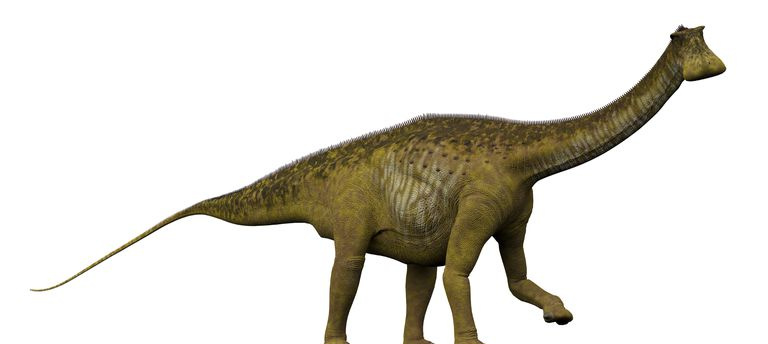 Illustrazione del dinosauro, Nigersaurus dal lato.