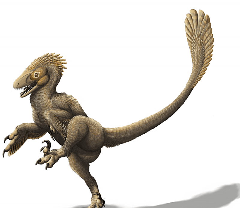 Illustrazione del dinosauro balaur.