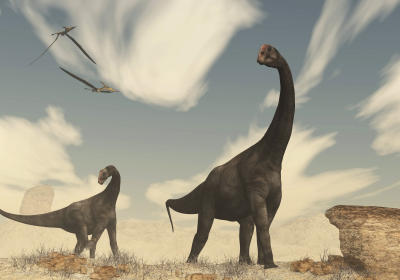 Due dinosauri Brontomerus che camminano nel deserto.