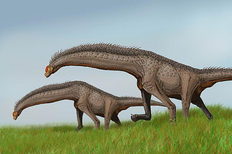 Illustrazione del dinosauro, isisaurus.