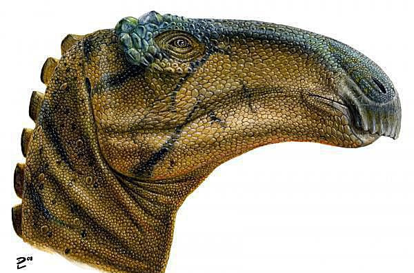 Illustrazione del dinosauro, jeyawati.