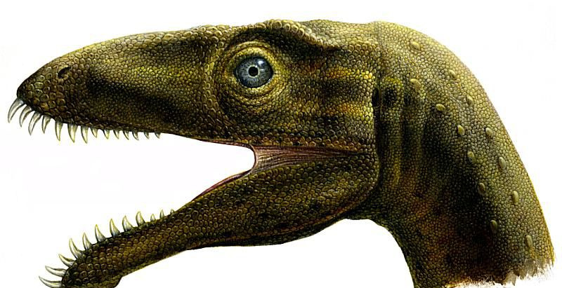 Illustrazione del dinosauro, masiaksaurus.