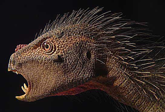 pegomastax