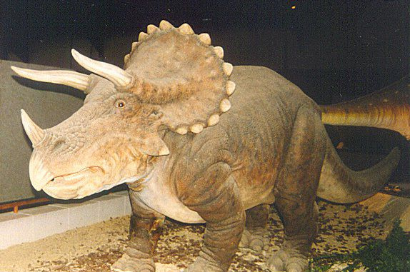 tricératops