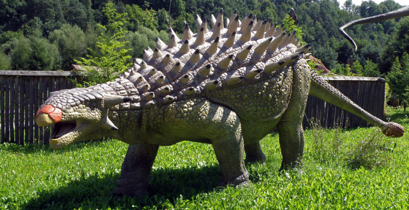 ankylosaure