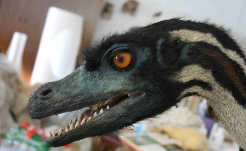 welociraptora