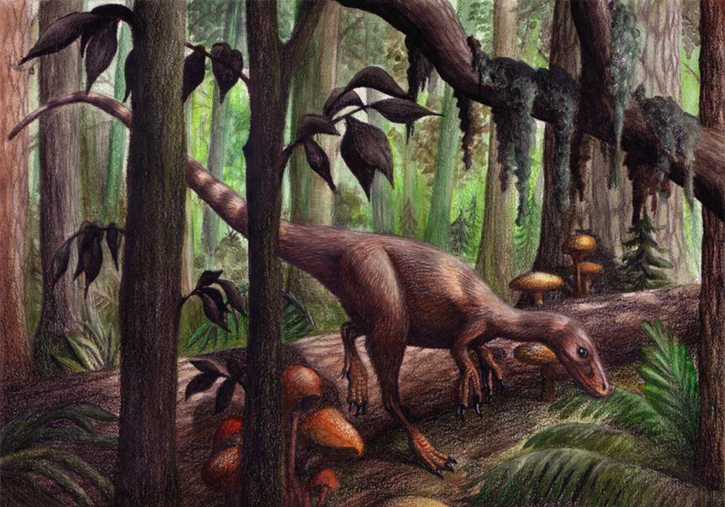 sinozauropteryks