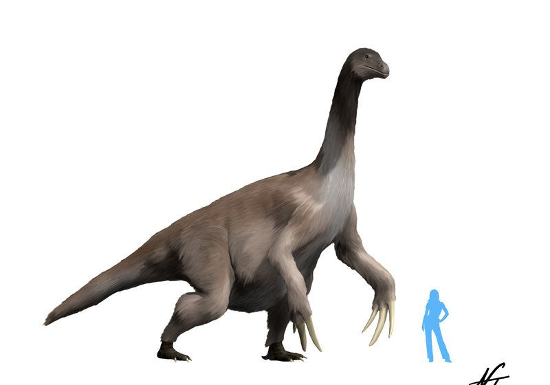 terizinozaur