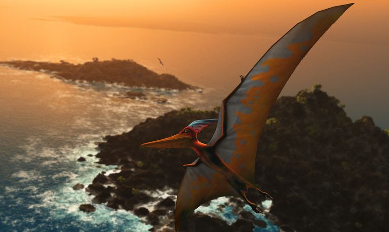 pteranodonte em voo