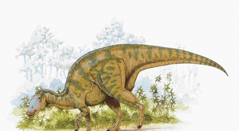 Ilustracja Hadrozaura