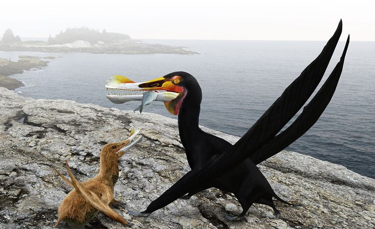 ornithocheirus