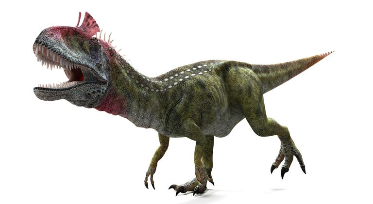 Cryolophosaurus renderēšanas ilustrācija