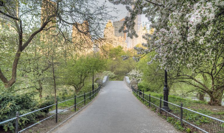 Gapstow-broen Central Park, New York City
