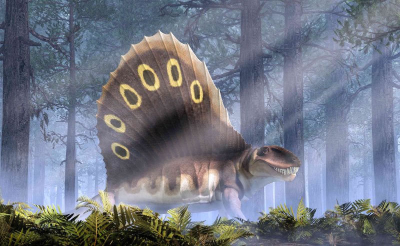 Dimetrodon geht durch einen nebligen Wald