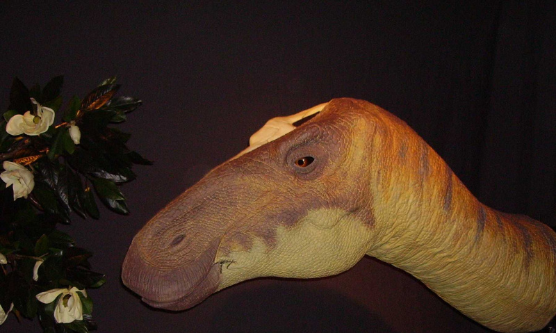 Anatotitan