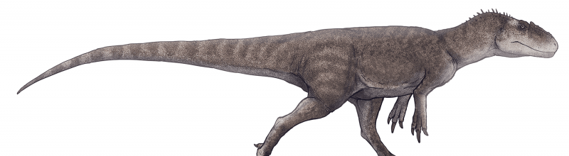 Helkroppsrekonstruksjon av Gasosaurus constructus.