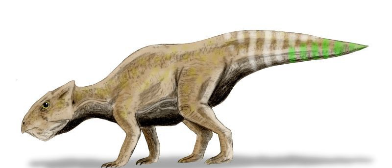 Yamaceratops