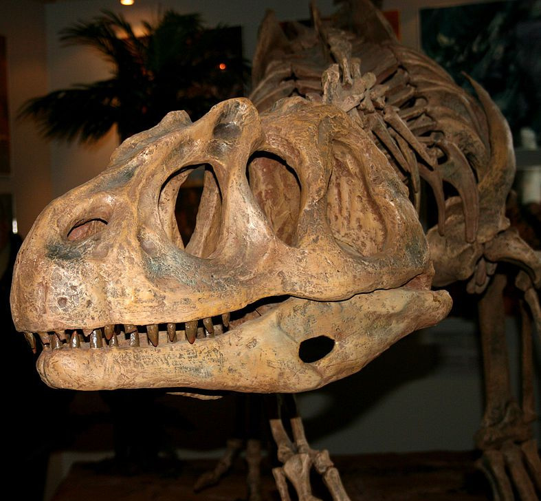 Piatnitzkysaurus