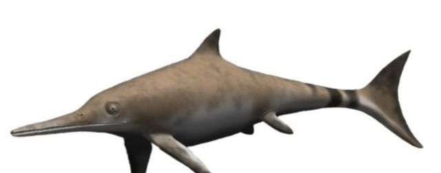 Ichthyosaurus
