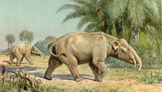 paleomastodonte