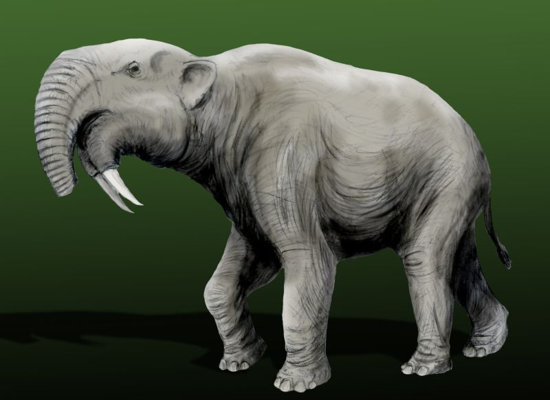 Deinotherium giganteus