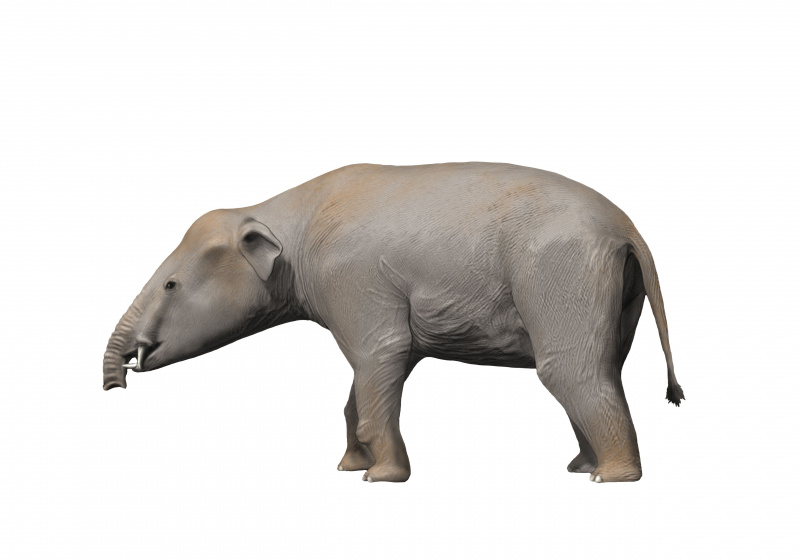 Renderowanie grafiki Palaeomastodon