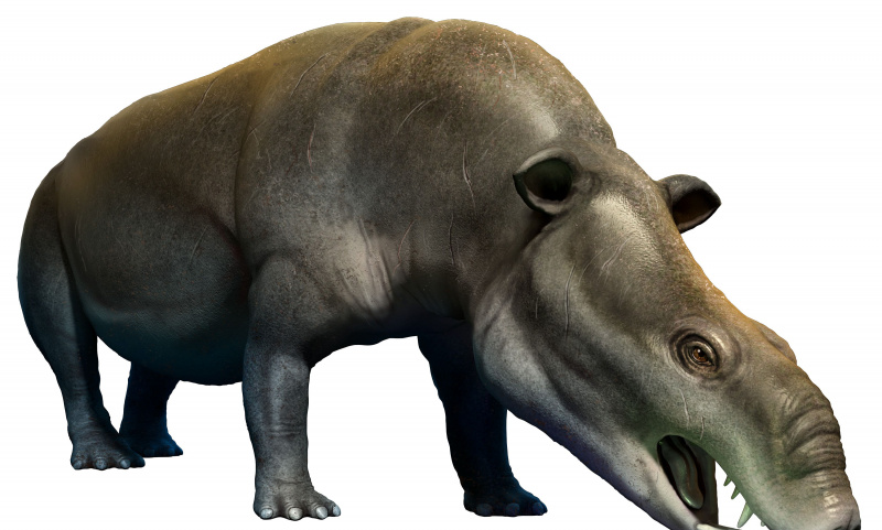 Renderowanie grafiki Moeritherium