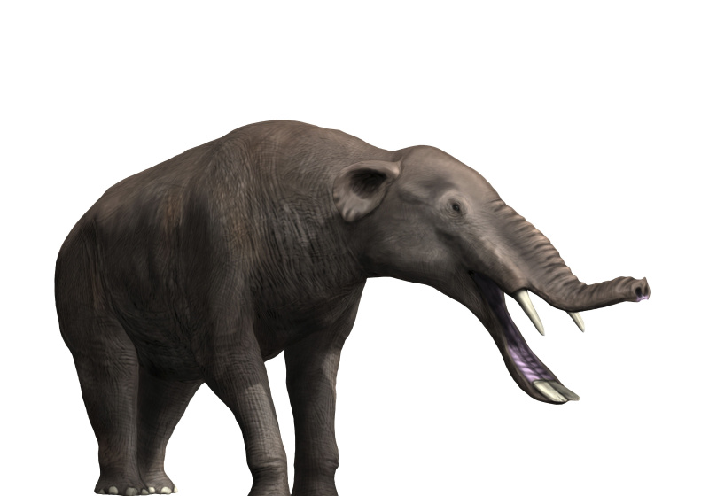 Platybelodon grangeri renderowanie grafiki